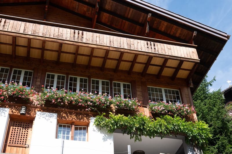 Charming Chalet with 3 Living Units (2)