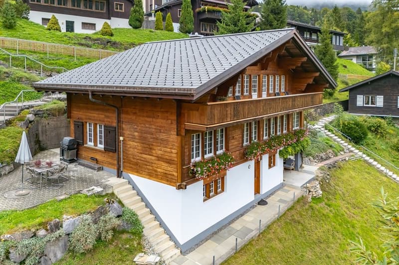 Charming Chalet with 3 Living Units (1)