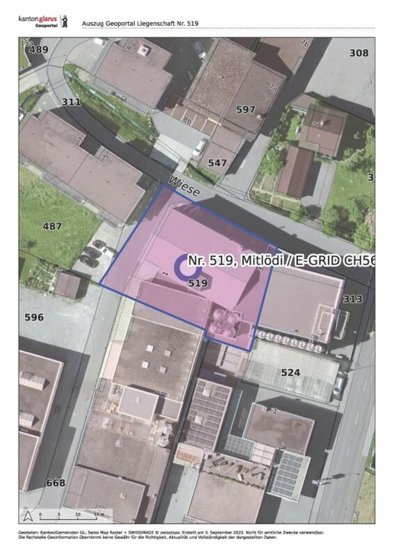 Auszug Geoportal