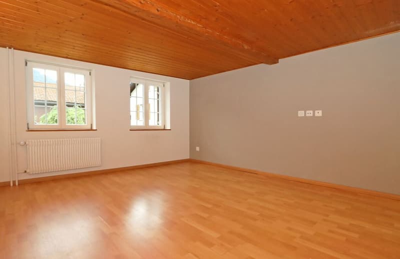 Zimmer HP