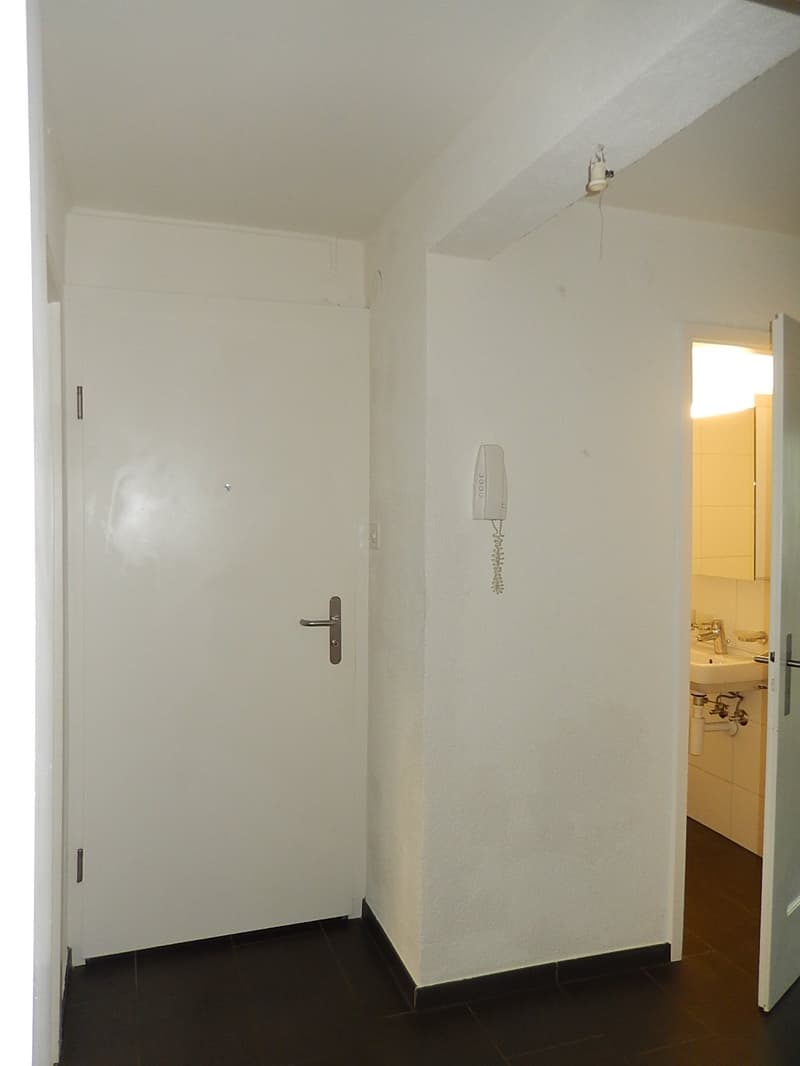 Appartement lumineux et moderne de 3 pièces avec espace de jardin (3)