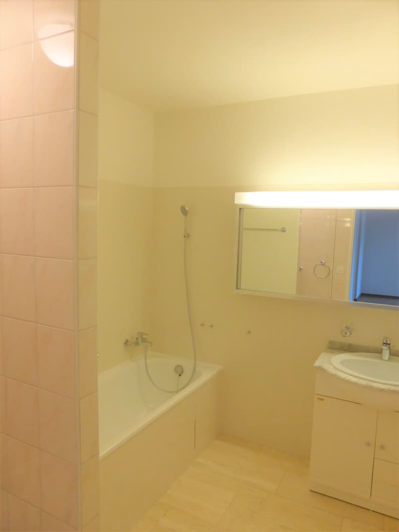 Appartement avec vue panoramique (9)