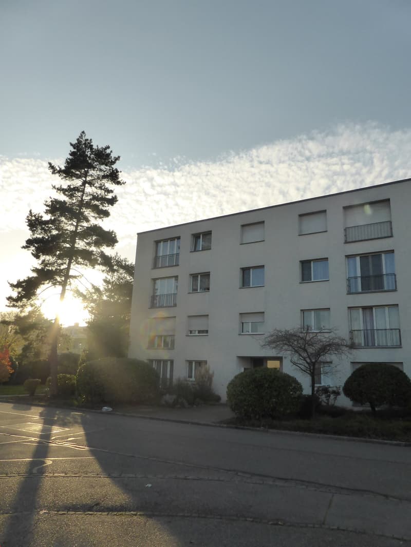 Mehrfamilienhaus