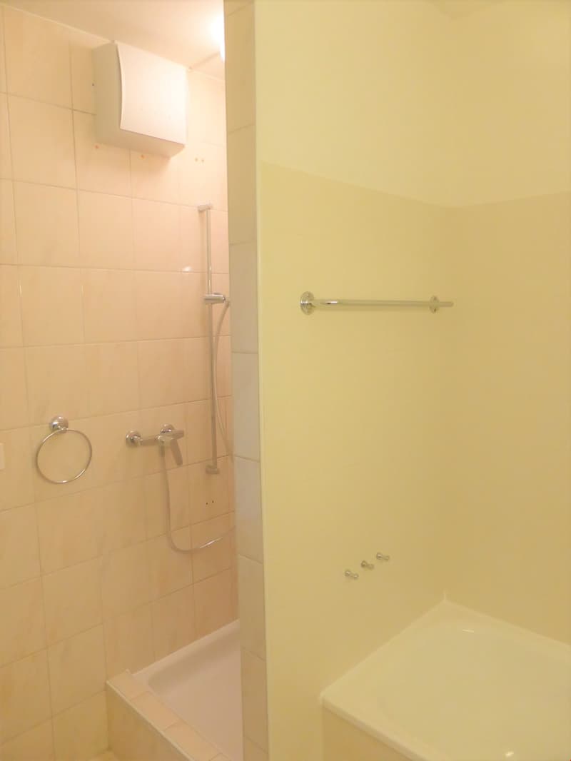 Appartement avec vue panoramique (11)