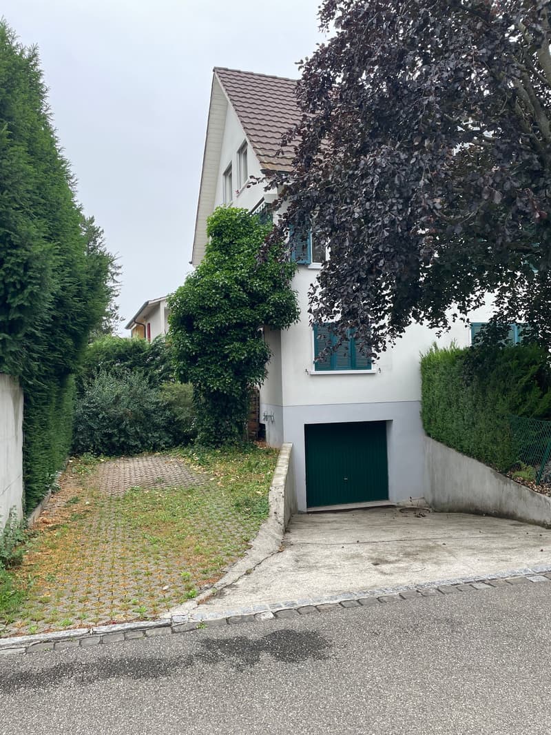 Autoabstellplatz und Einfahrt Garage