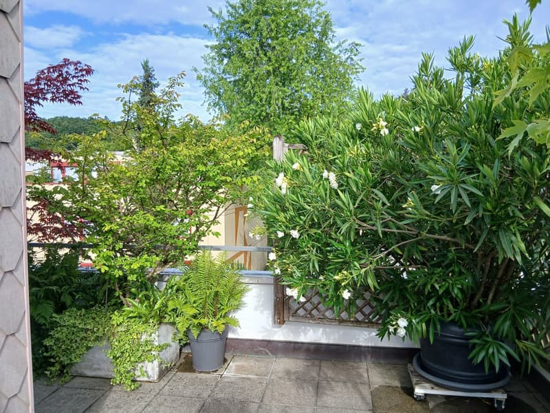 Attikawohnung mit Terrasse zum Verweilen (14)