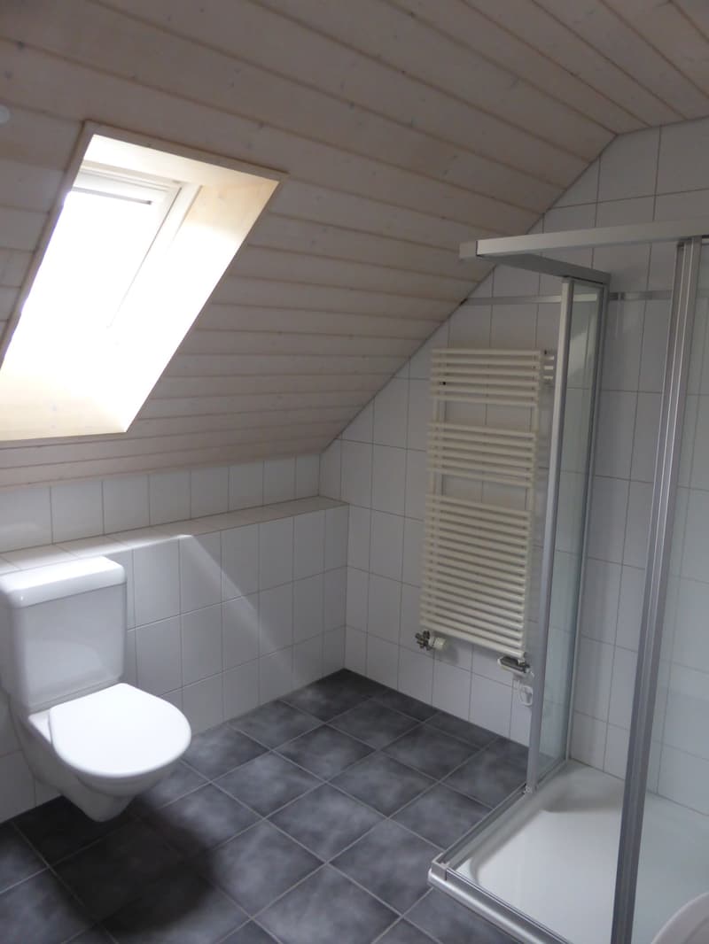 Grosszügige 6.5-Zimmer-Maisonette-Wohnung in Zeiningen (13)
