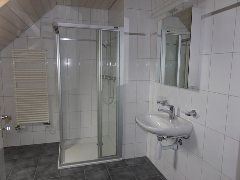 Grosszügige 6.5-Zimmer-Maisonette-Wohnung in Zeiningen (12)