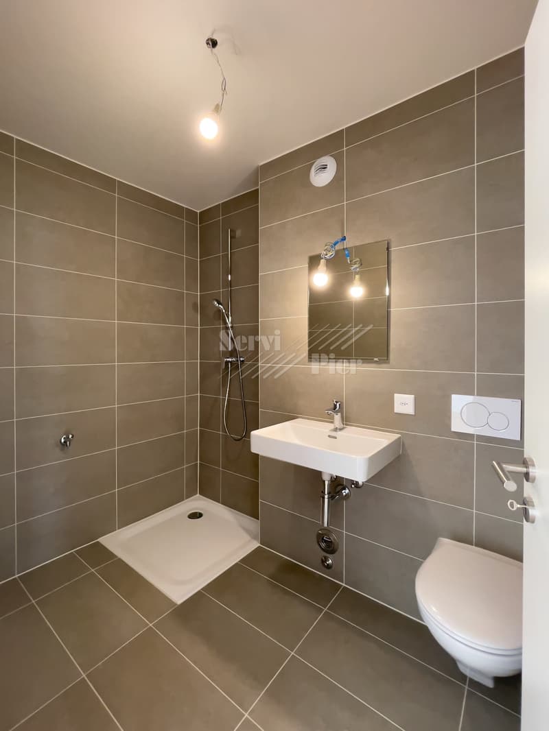 Tiled bathroom with a shower, sink, and toilet. The walls are covered in gray tiles, and there is a mirror above the sink. The bathroom also has a private washing machine.