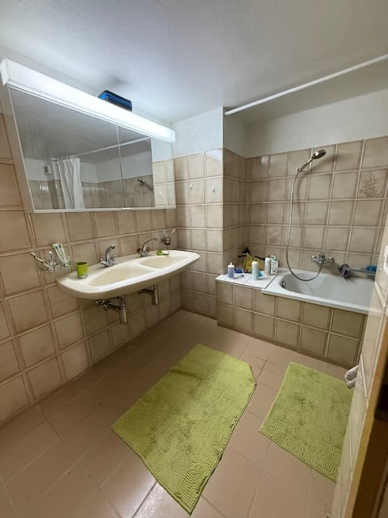 Double sink, mirror, shower, bathtub, green towels