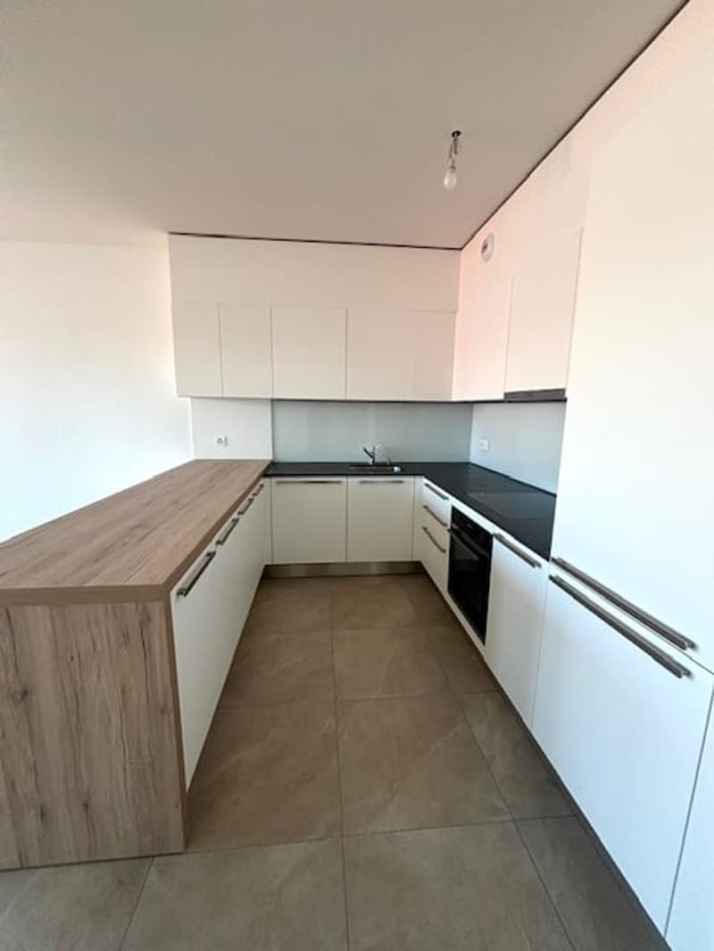Meraviglioso appartamento di 4,5 locali al 7° piano a Chavannes-près-Renens (2)