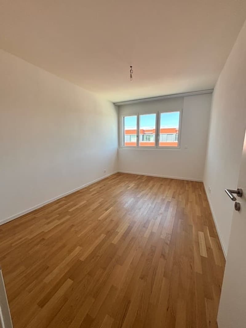 Meraviglioso appartamento di 4,5 locali al 7° piano a Chavannes-près-Renens (5)