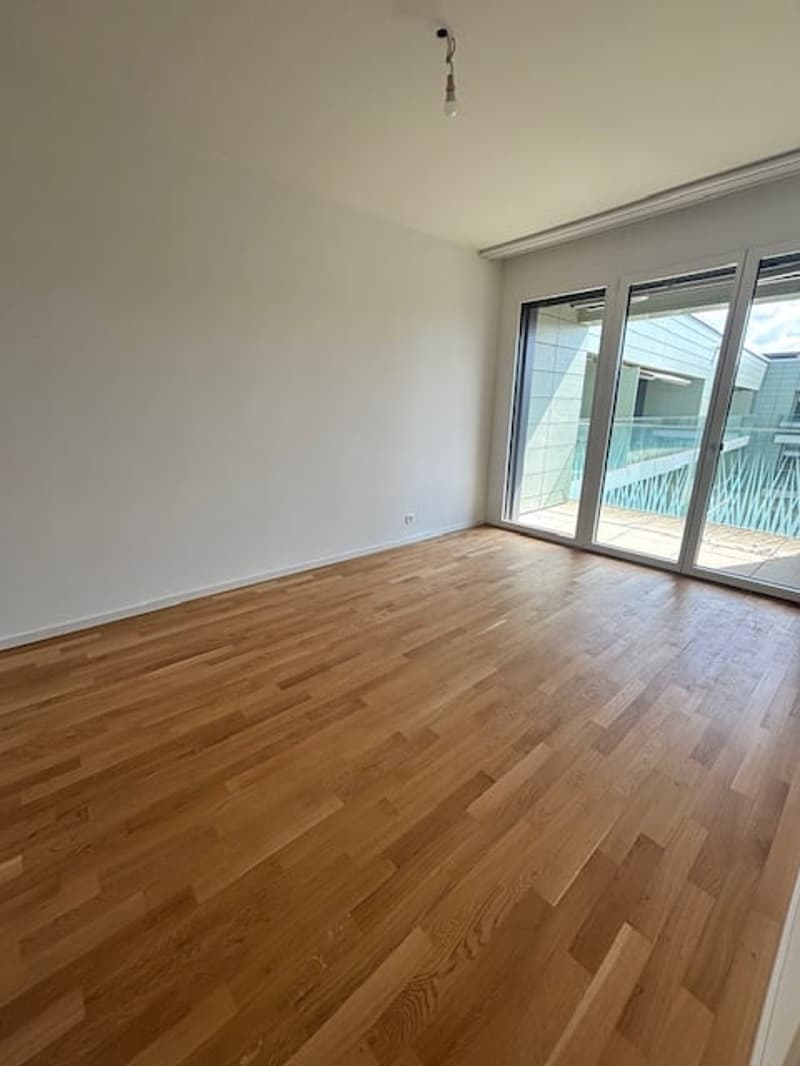 Meraviglioso appartamento di 4,5 locali al 7° piano a Chavannes-près-Renens (4)