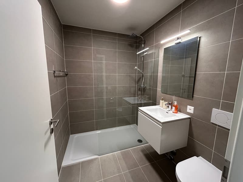 Furnished studio close to PEFL and UNIL in Chavannes-près-Renens (4)