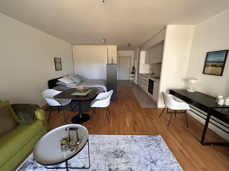 Furnished studio close to PEFL and UNIL in Chavannes-près-Renens (2)