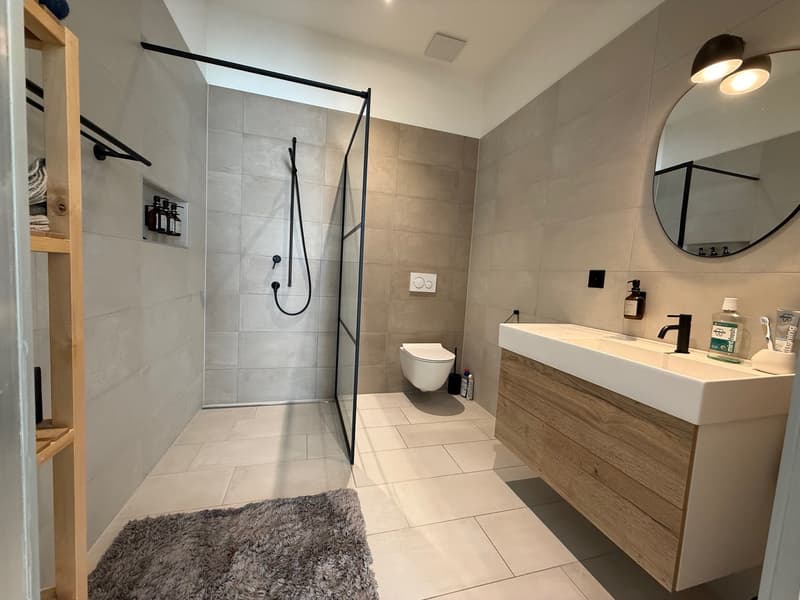 EXCLUSIVITY! Exceptional property with terrace and private garden in the La Coudre neighborhood! (6)