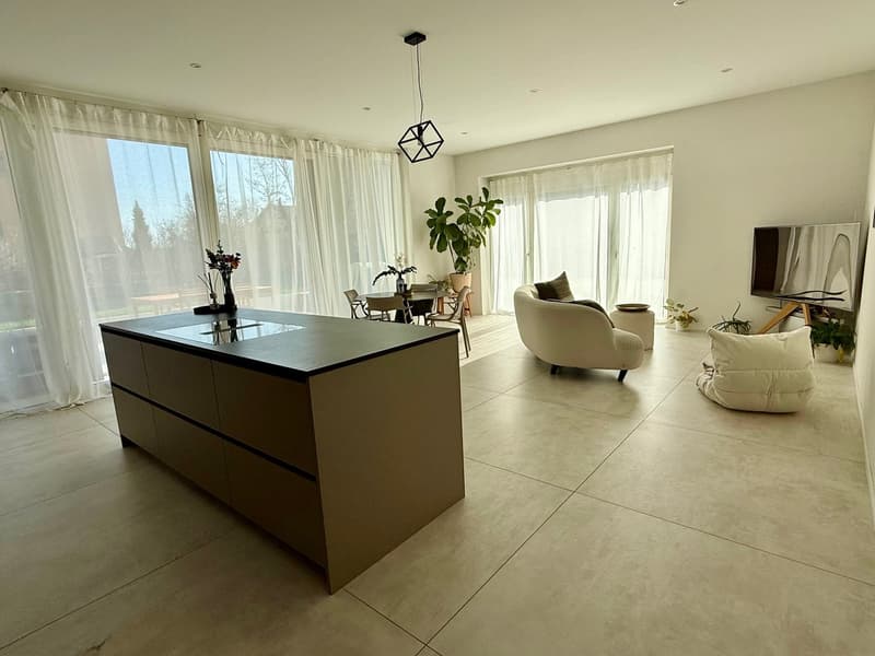 EXCLUSIVITY! Exceptional property with terrace and private garden in the La Coudre neighborhood! (3)