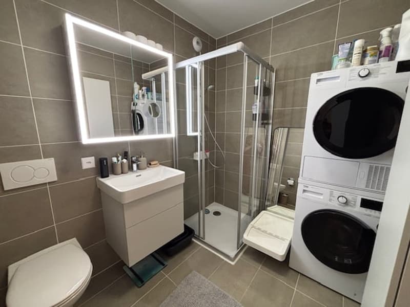 Magnificent 2.5-room apartment for rent in Chavannes-près-Renens (6)