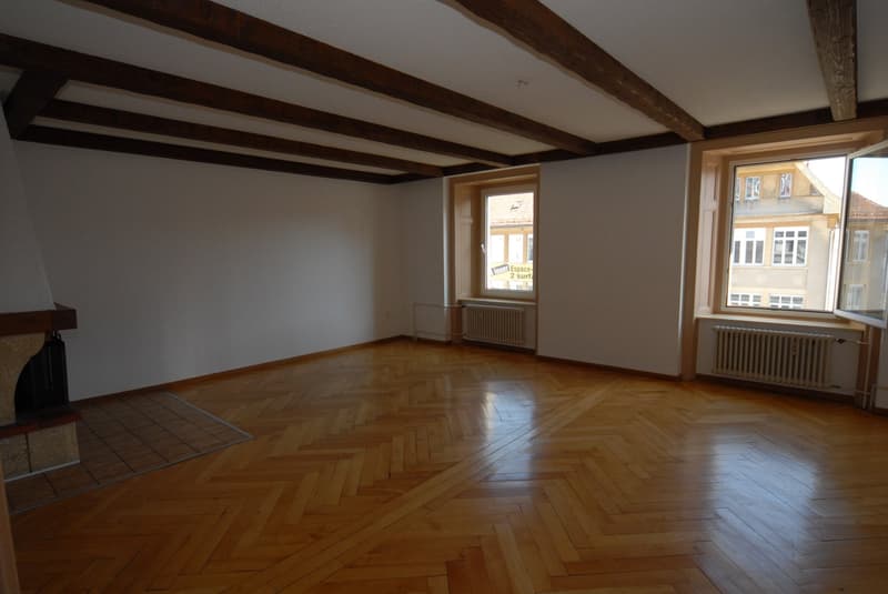Grand appartement 3.5 pces, cheminée, possibilité d'un garage (1)