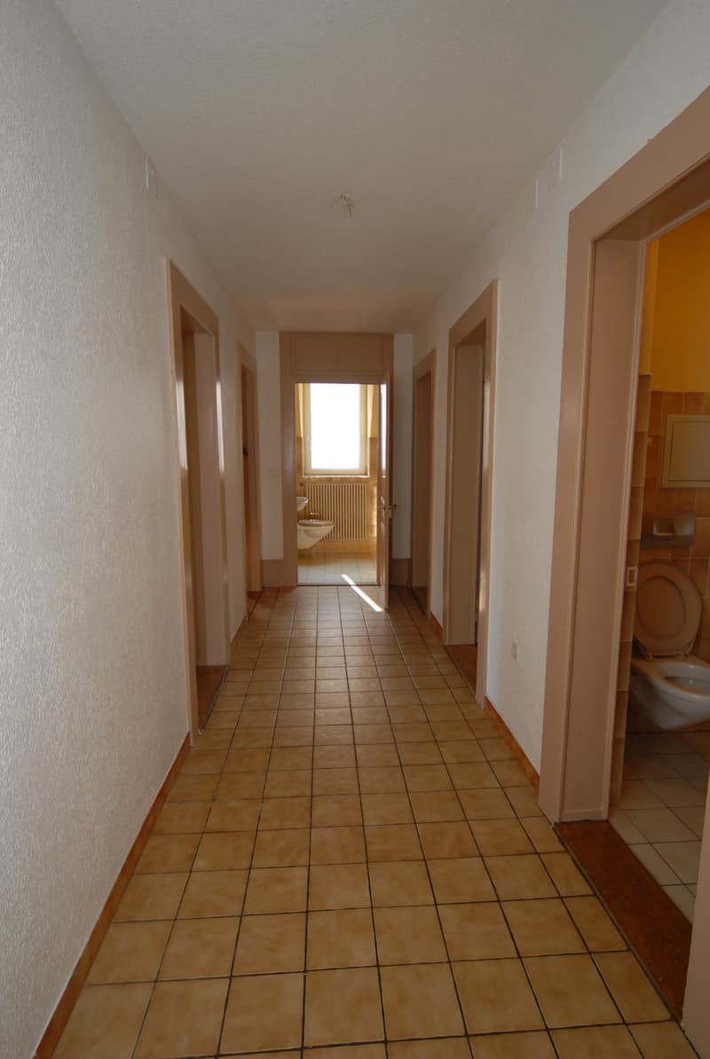 Grand appartement 3.5 pces, cheminée, possibilité d'un garage (6)