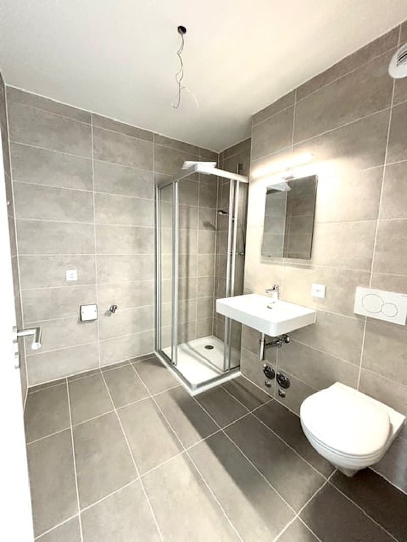Beautiful studio for rent in Chavannes-près-Renens (4)