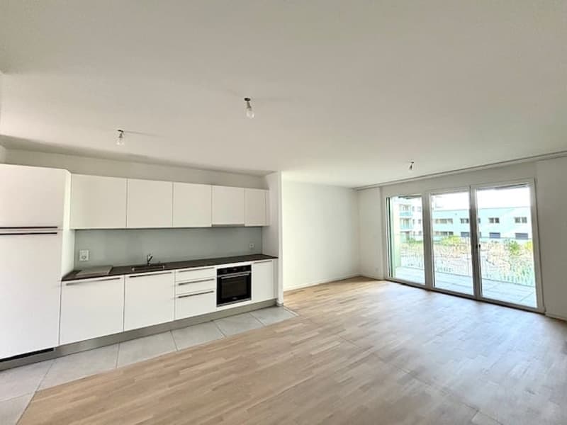 Beautiful studio for rent in Chavannes-près-Renens (1)