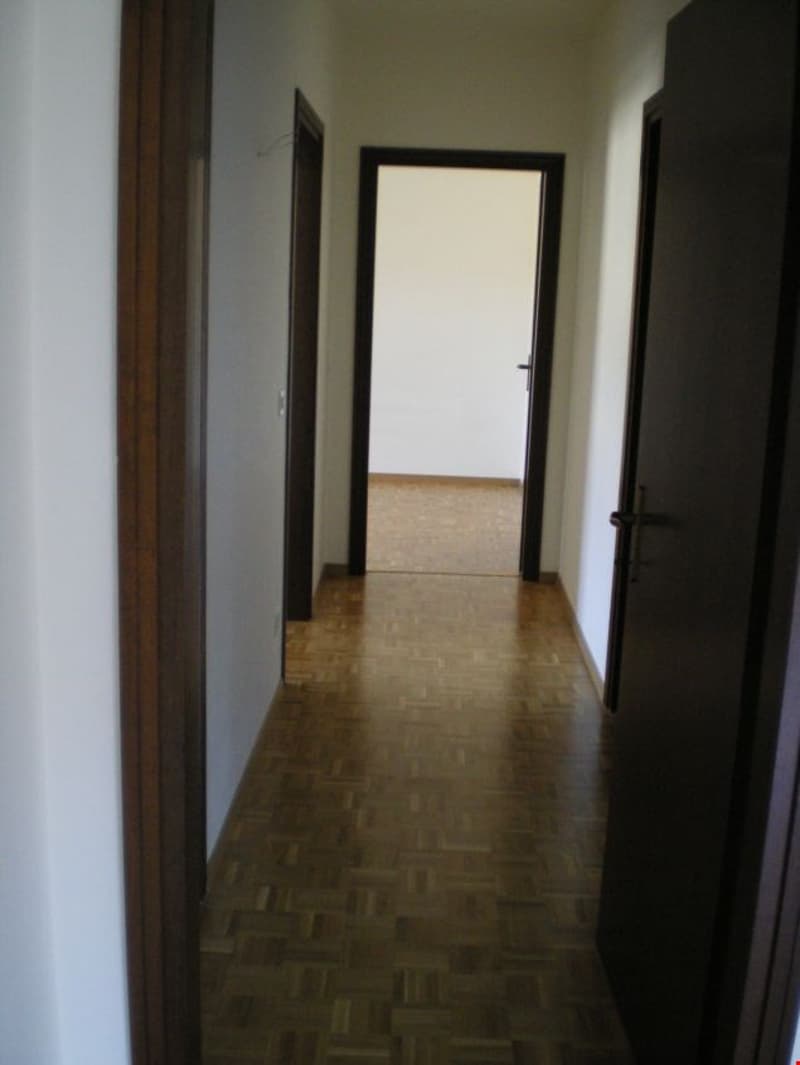 Wooden floor, white walls, wooden doors, empty hallway leading to another room