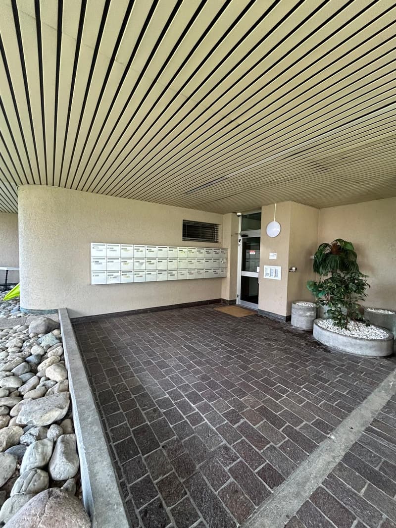 The image shows the entrance to an apartment building. The entrance has a tiled floor with a pattern of dark gray bricks. There is a wall of mailboxes on the left side, and a potted plant on the right side. The ceiling above the entrance has a distinctive