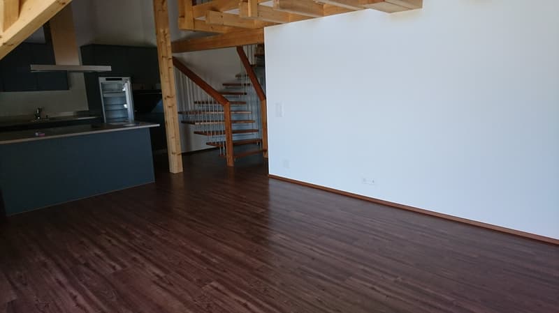 Dach-/Duplex-Wohnung in der Wohnsiedlung Schmiedehof (4)