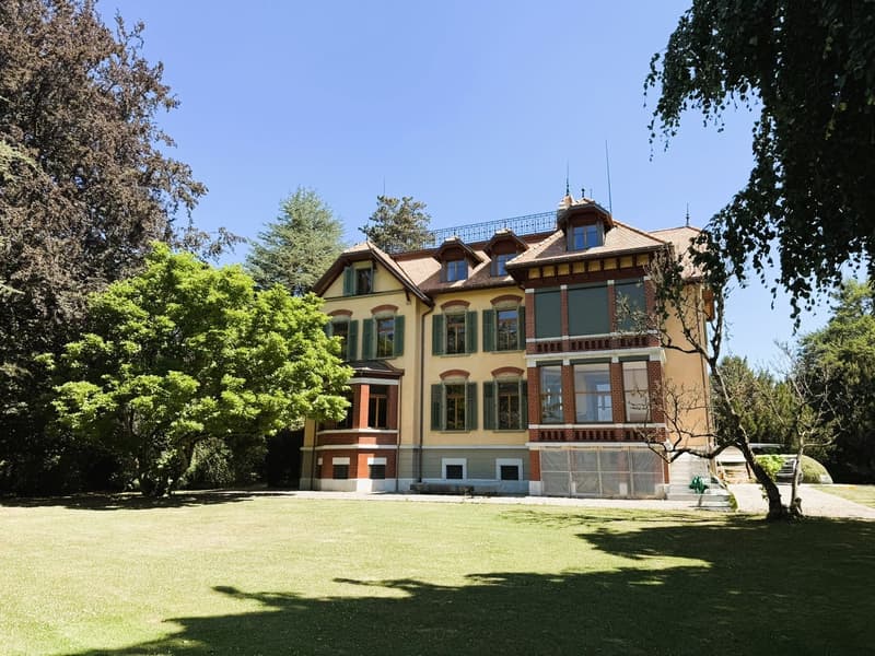 Stilvolle 1.5 Zi.-Whg. in sanierter Villa (8)