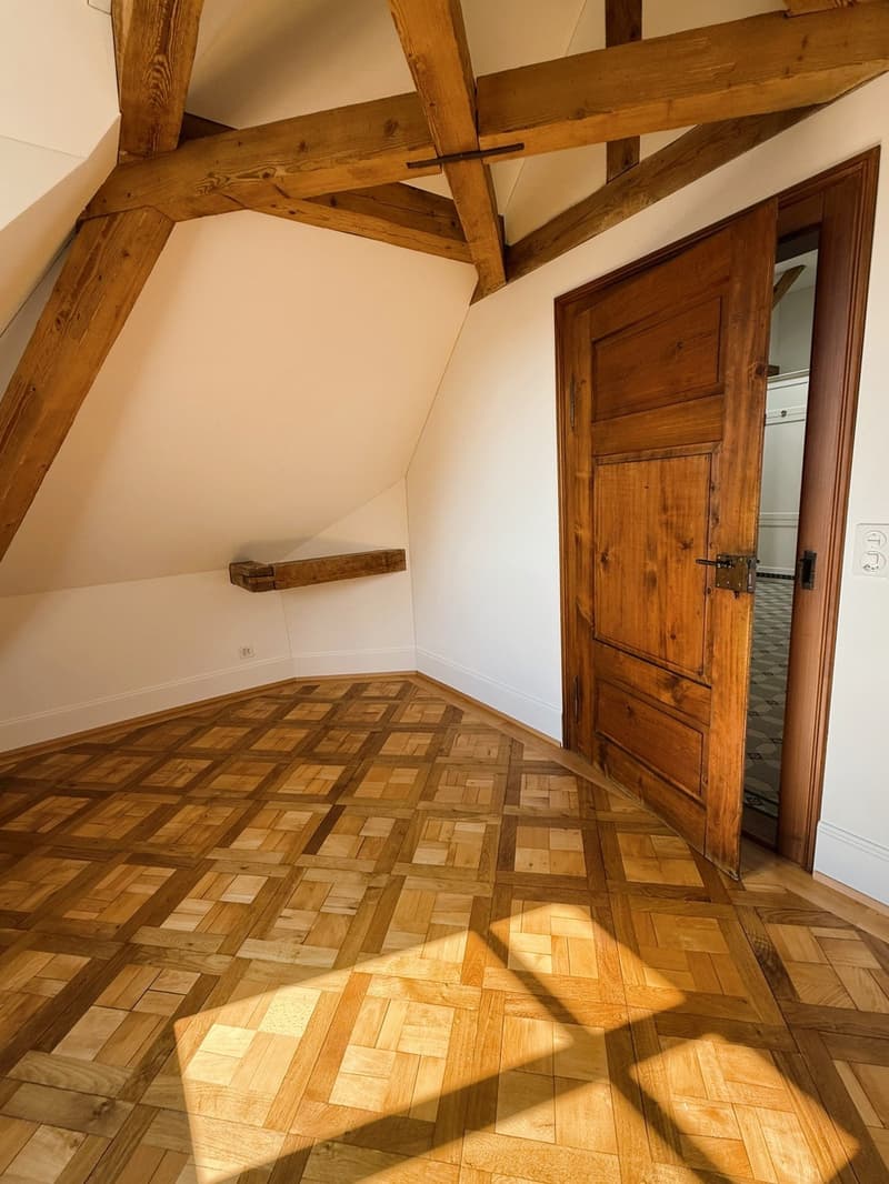 Charmantes Wohnjuwel:  4.5 Zi.-Whg. in der Villa Obach (6)