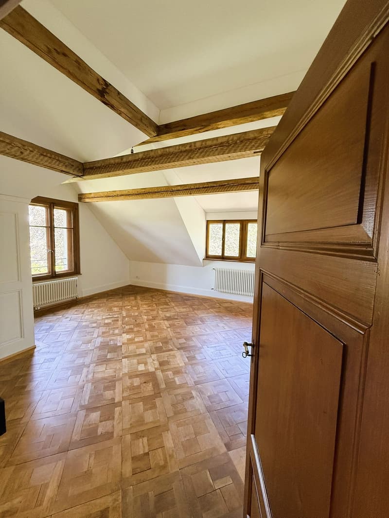 Charmantes Wohnjuwel:  4.5 Zi.-Whg. in der Villa Obach (3)