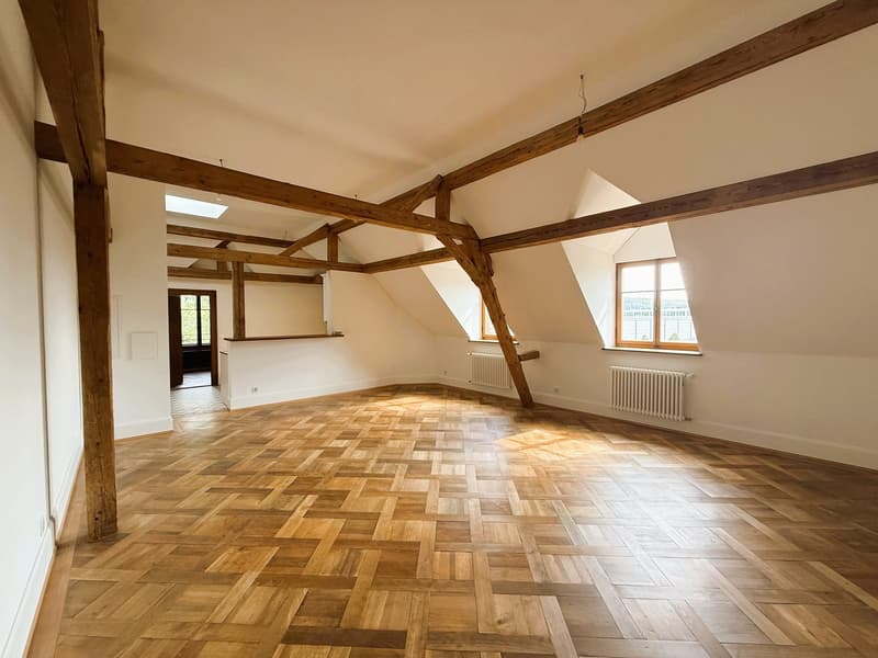 Charmantes Wohnjuwel:  4.5 Zi.-Whg. in der Villa Obach (4)