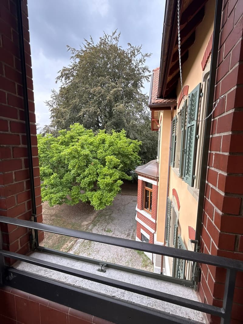 Einmalige 3.5 Zi.-Whg. in sanierter Villa (11)