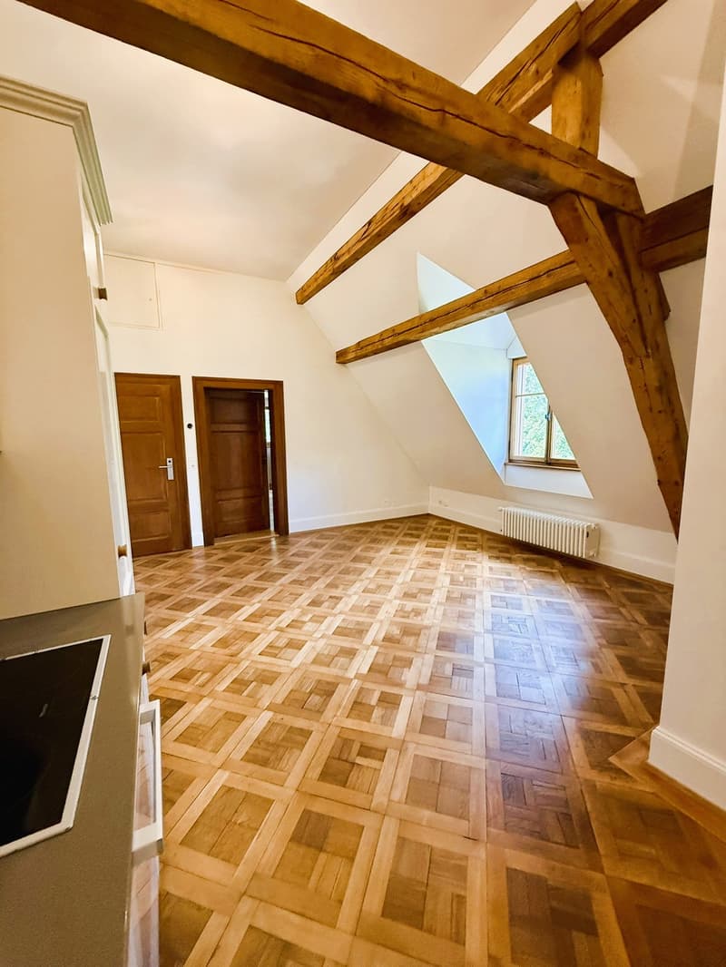 Gemütliche 2.5 Zi.-Whg. mit grosser Dachterrasse (3)