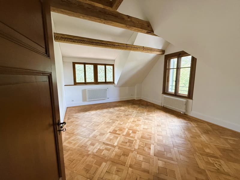 Gemütliche 2.5 Zi.-Whg. mit grosser Dachterrasse (2)