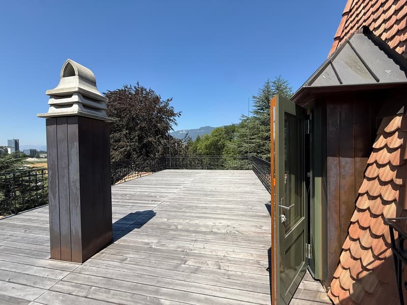 Gemütliche 2.5 Zi.-Whg. mit grosser Dachterrasse (7)