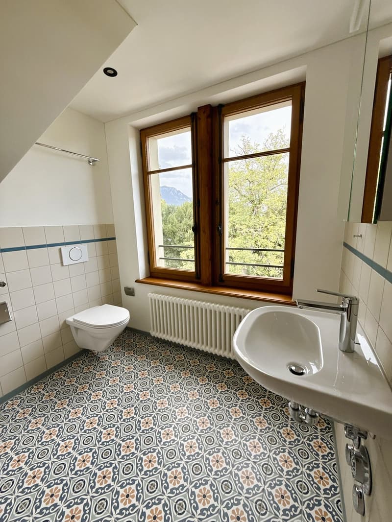 Gemütliche 2.5 Zi.-Whg. mit grosser Dachterrasse (6)
