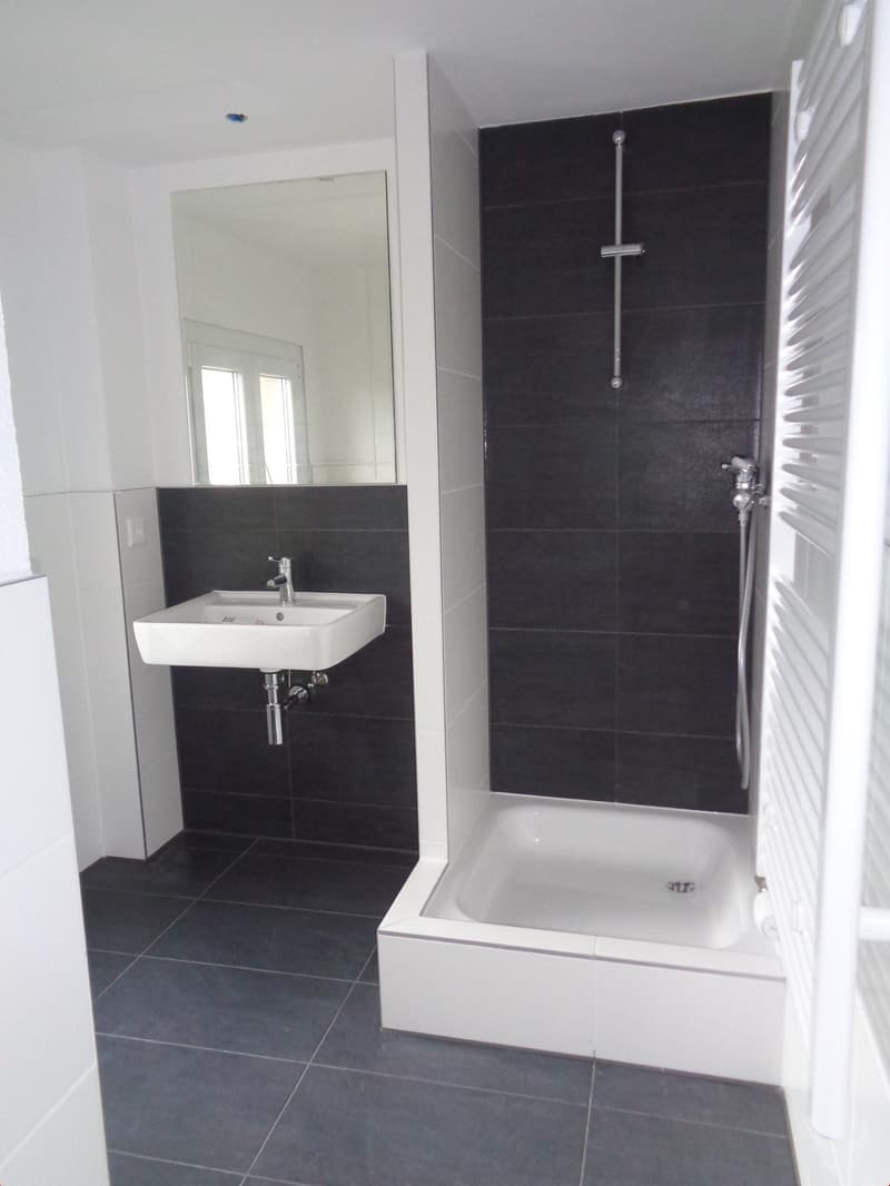 modern bathroom, white and black tiles, white sink, mirror, shower