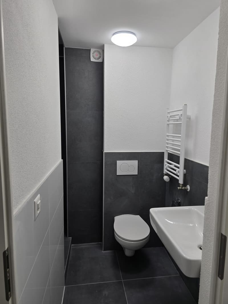 Bathroom with black tiled walls, white toilet, white sink, white towel rack