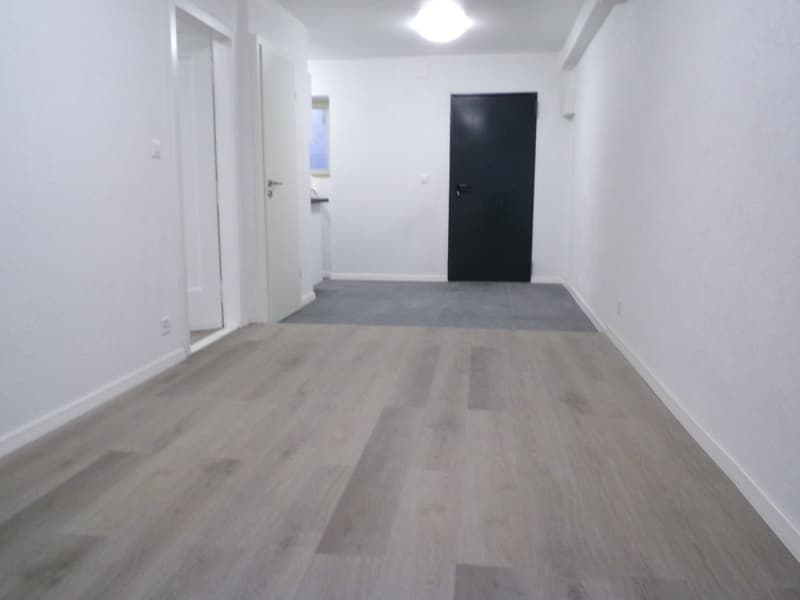 Très joli appartement 2 pièces rénové ** 1ère location ** (1)