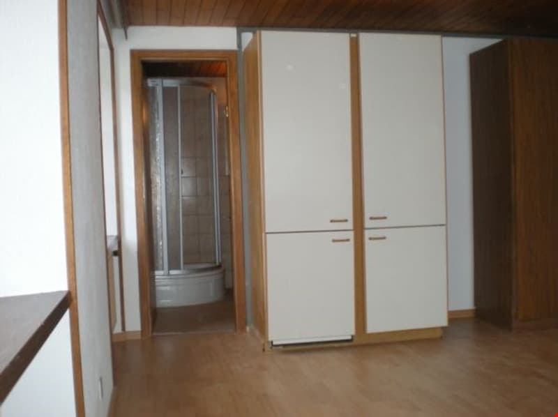 empty room, wooden floor, white walls, two white cabinets, open door to bathroom with shower