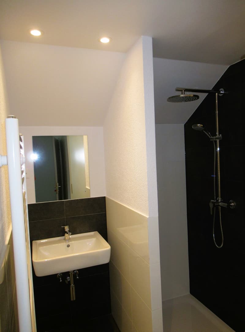 Bathroom with white sink, mirror, and shower
