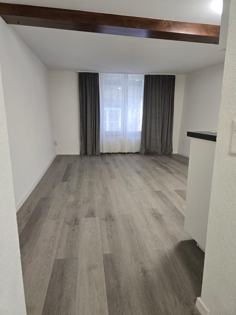 Très joli appartement 1 pièce rénové  ** 1ère location ** (2)