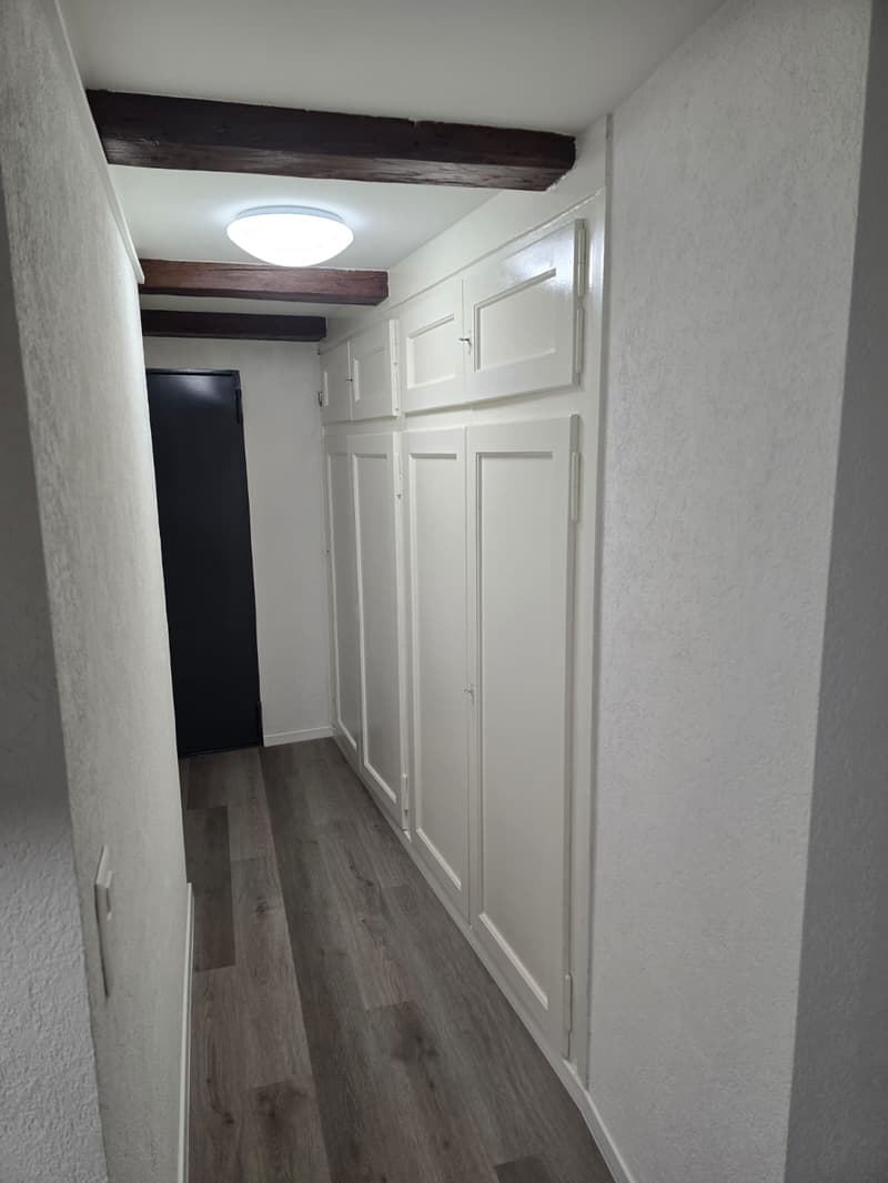 Très joli appartement 1 pièce rénové  ** 1ère location ** (4)