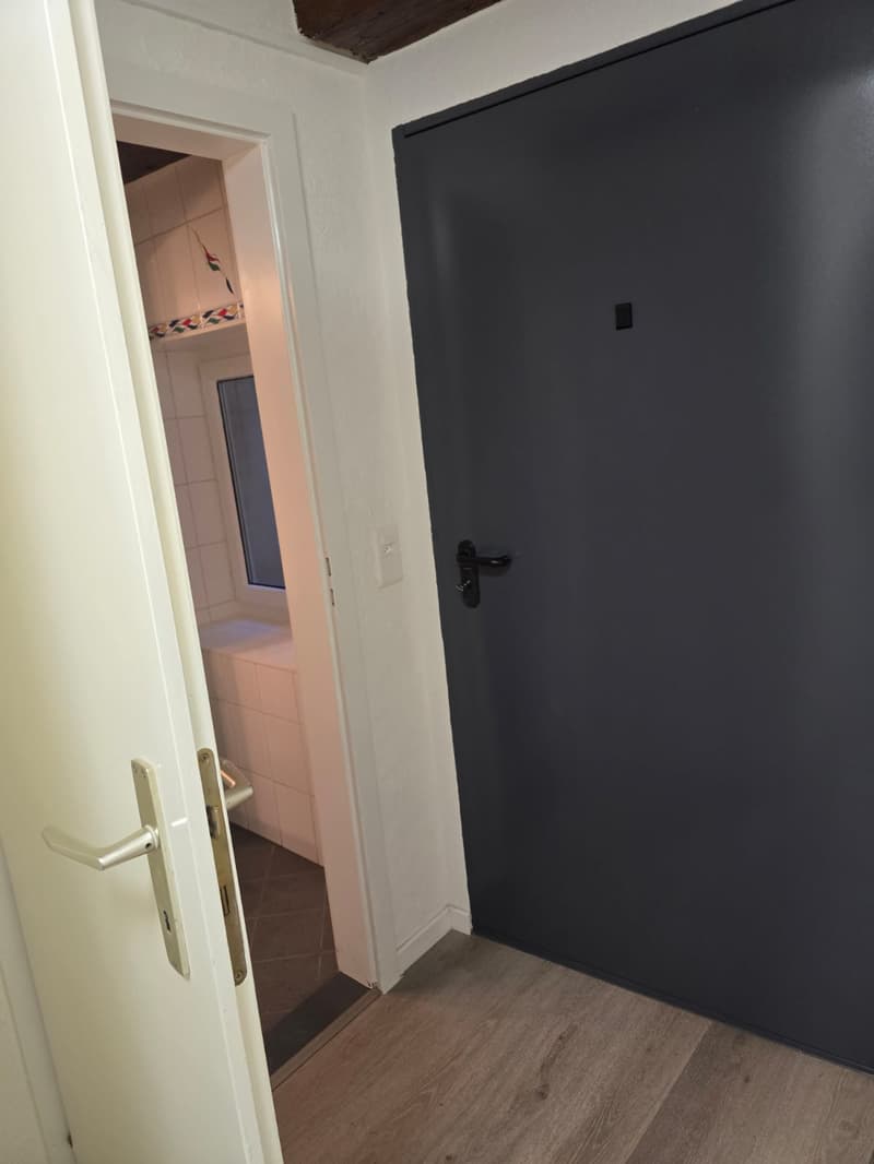 Très joli appartement 1 pièce rénové  ** 1ère location ** (9)