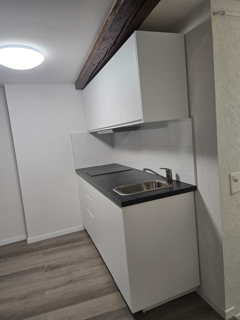 Très joli appartement 1 pièce rénové  ** 1ère location ** (3)