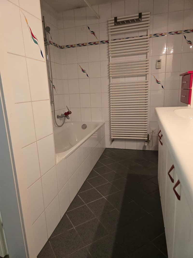 Très joli appartement 1 pièce rénové  ** 1ère location ** (7)