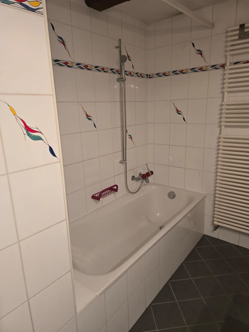 Très joli appartement 1 pièce rénové  ** 1ère location ** (6)
