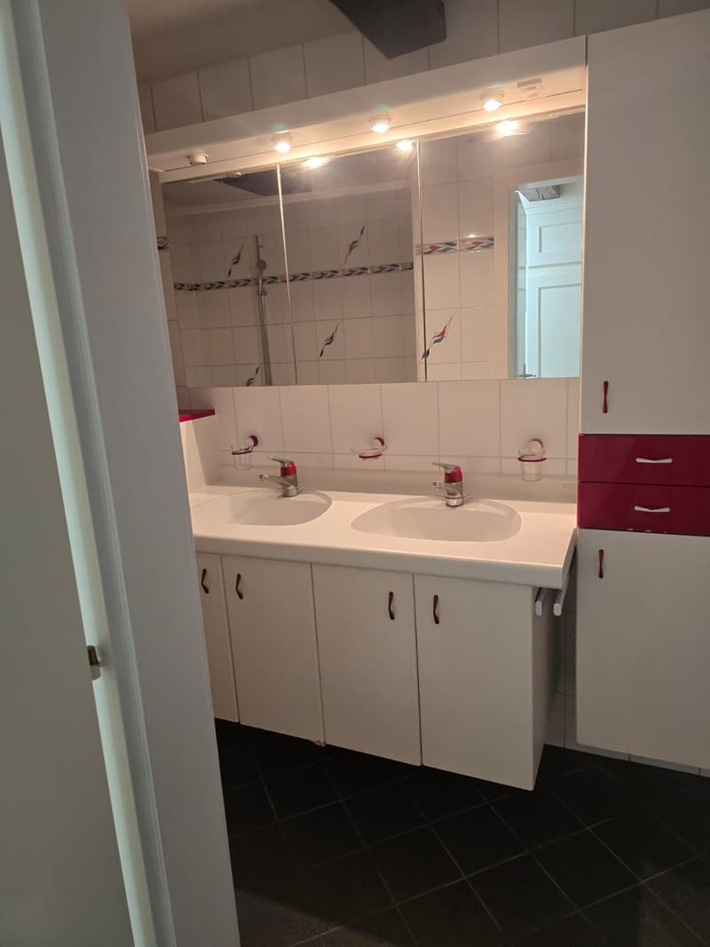 Très joli appartement 1 pièce rénové  ** 1ère location ** (5)